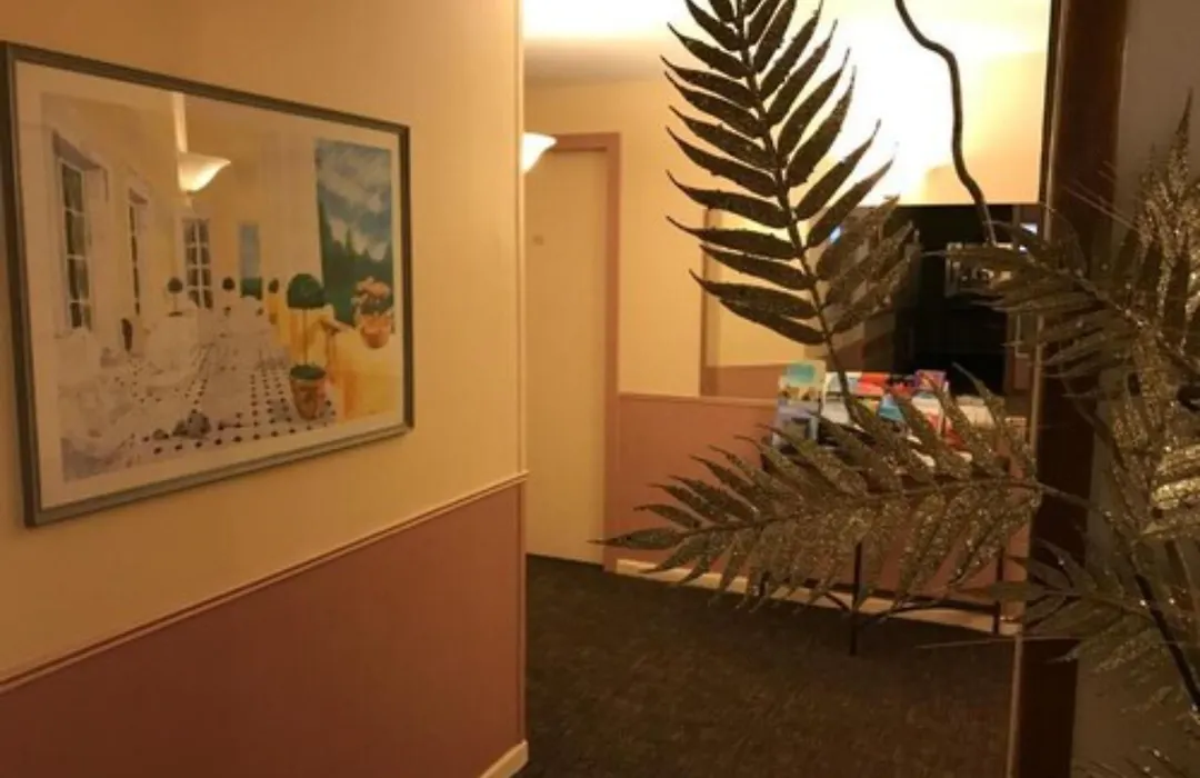 Hotel Le Festival-1